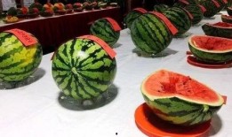 吃瓜网站 吃瓜大赛,揭秘网络热议背后的真相与笑料